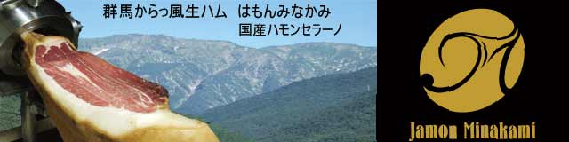���ϥ�����Ρ����եȡ��Ϥ��ߤʤ��ߡ��񻺥ϥ�󥻥顼��